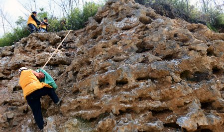 渊薮的意思解释
