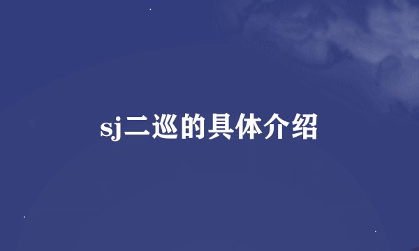 sj二巡的具体介绍