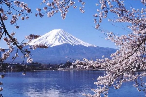 前辈请和我交往吧日语怎么说