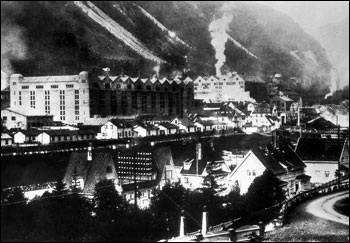 秃鹰计划的介绍