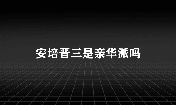 安培晋三是亲华派吗