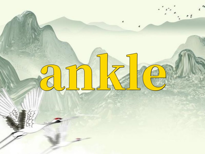 ankle网名是什么意思