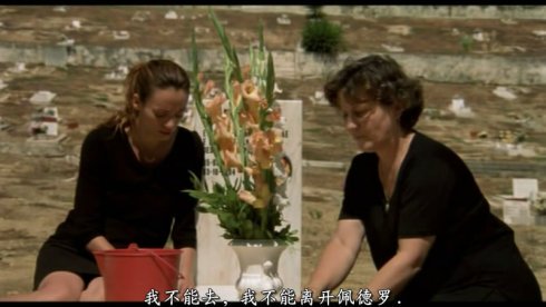 在坟场中心呼唤爱的介绍