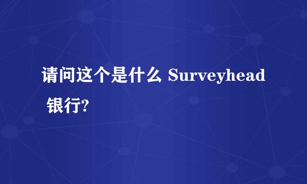 请问这个是什么 Surveyhead 银行?