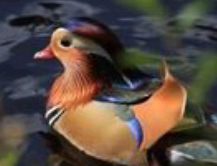 “一石二鸟”打一数字是什么？