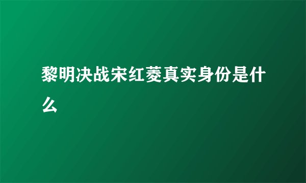 黎明决战宋红菱真实身份是什么