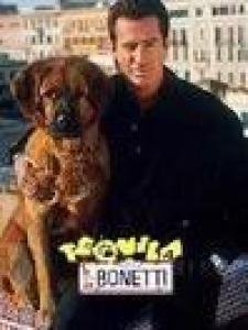 神勇搭档的介绍