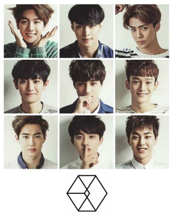 exo的各个成员分别担任什么？