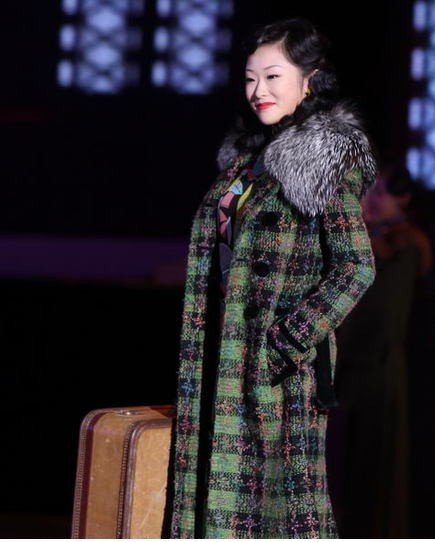 袁杨纯子的个人经历