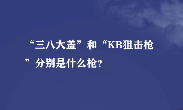 “三八大盖”和“KB狙击枪”分别是什么枪？