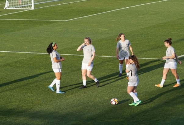 樊振东大满贯还缺什么