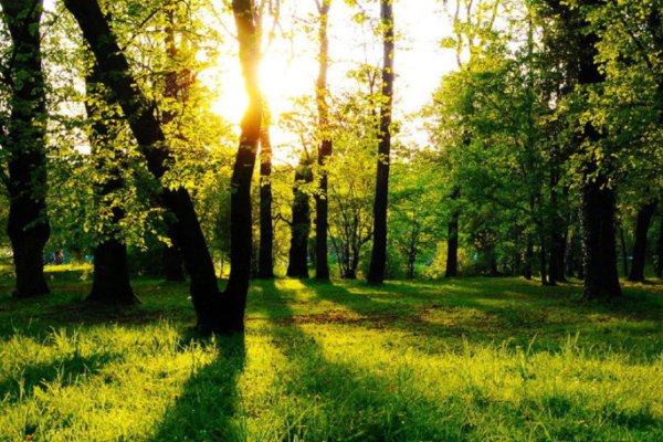 冰心的诗哪首最短呢?