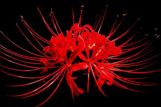 彼组词组什么词语