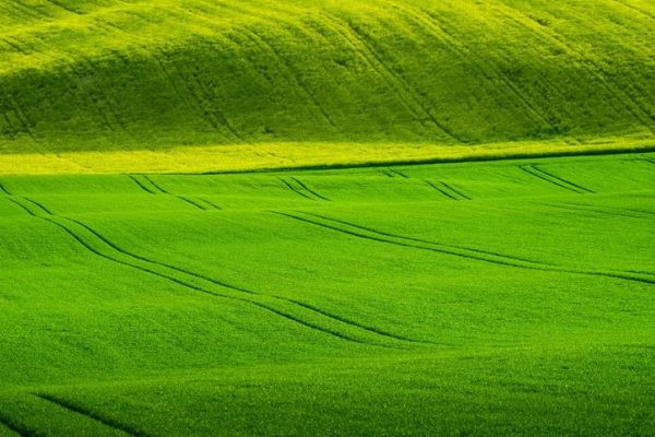 绿拼音怎么拼？