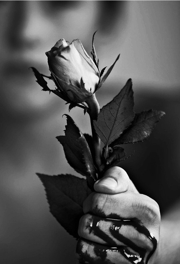 滴血玫瑰的剧情简介