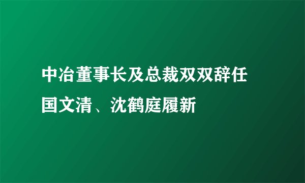 中冶董事长及总裁双双辞任 国文清、沈鹤庭履新