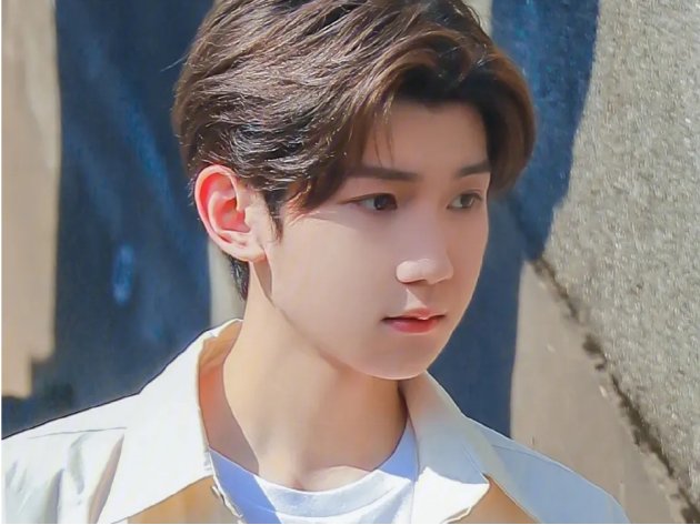 2024央视跨年晚会阵容