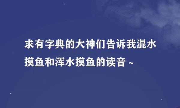 求有字典的大神们告诉我混水摸鱼和浑水摸鱼的读音～