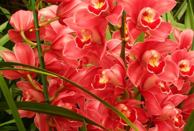 北京花卉市场有哪几家