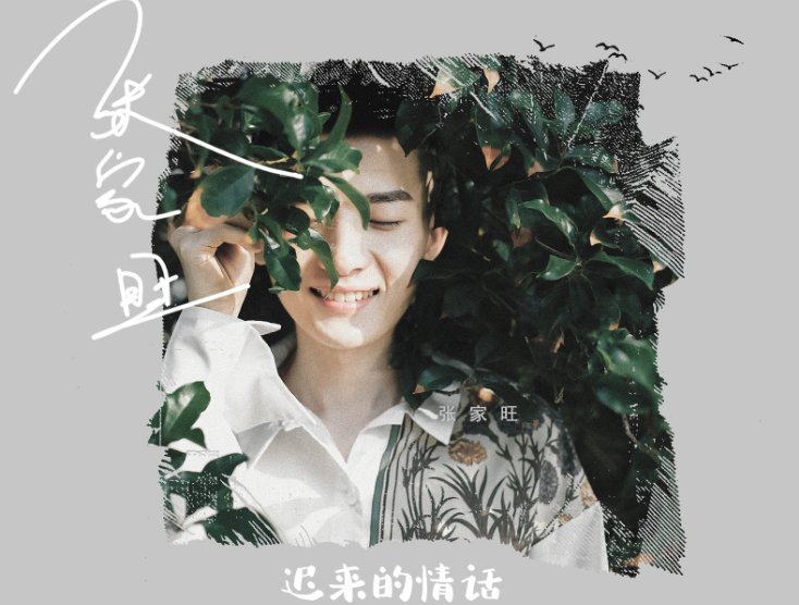 18岁没能送你的花 是什么歌