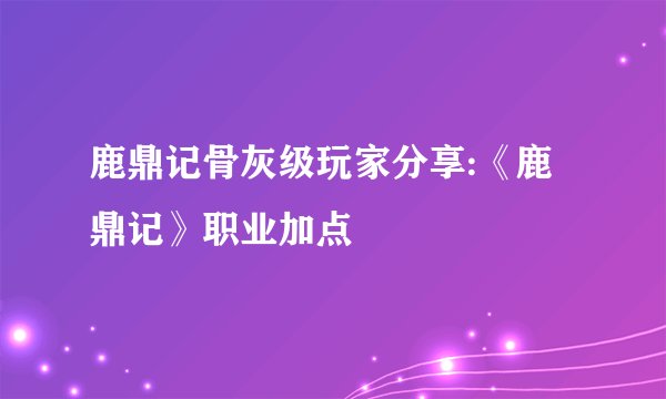 鹿鼎记骨灰级玩家分享:《鹿鼎记》职业加点