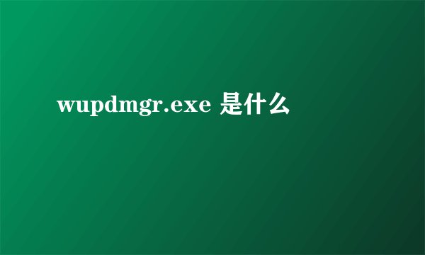 wupdmgr.exe 是什么
