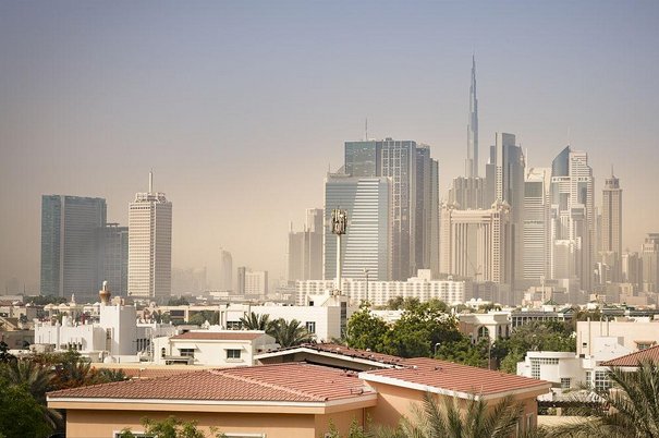 ned是什么意思英语