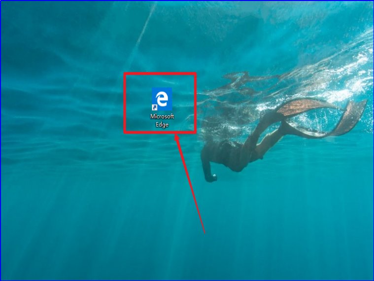 百度投票人气排行榜入口