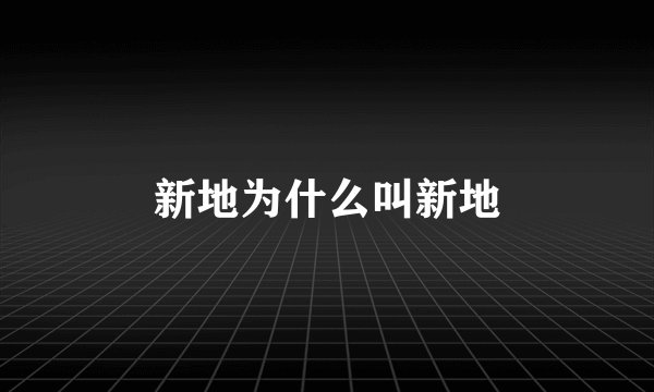 新地为什么叫新地