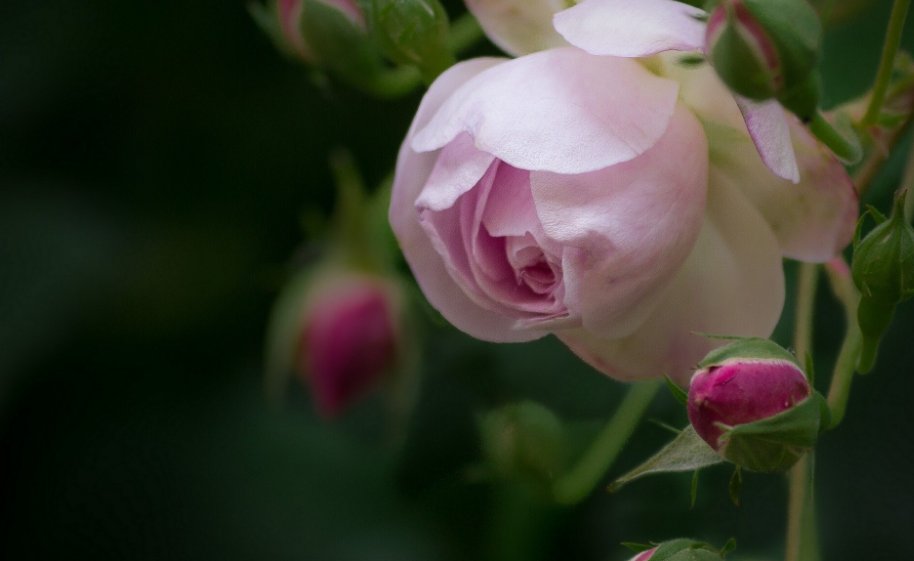 芬芳岁月什么意思