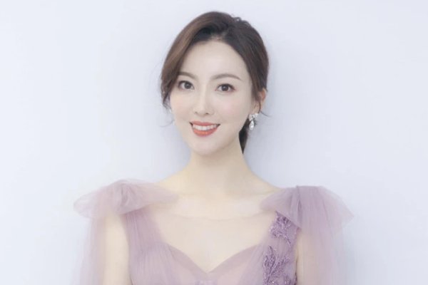 安徽卫视主持人