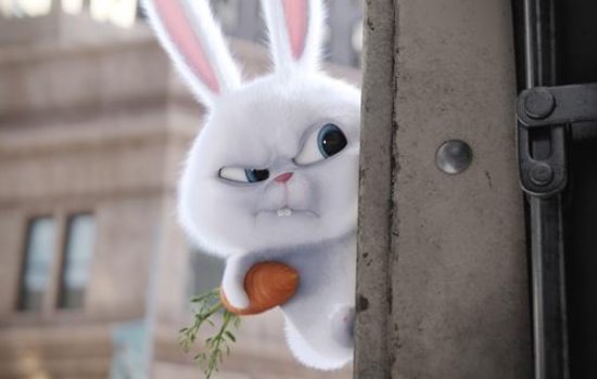 可可爱爱的下一句是啥?