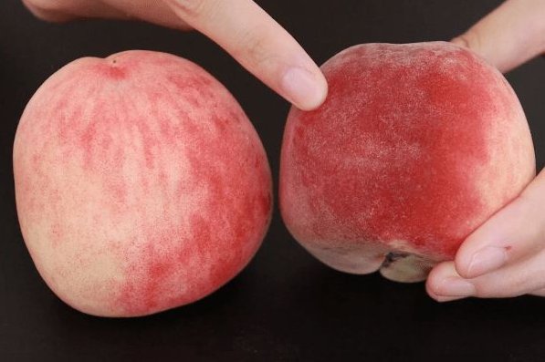 美丽的小桃子意大利语怎么说？