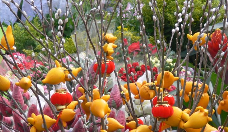 北京花卉市场有哪几家