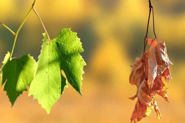 看破红尘是啥意思