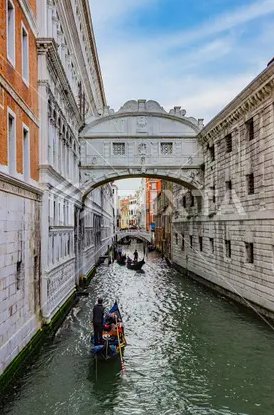 venice是什么意思