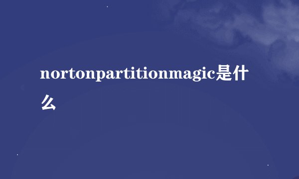 nortonpartitionmagic是什么