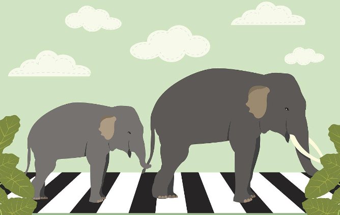 大象斑马线真实存在吗