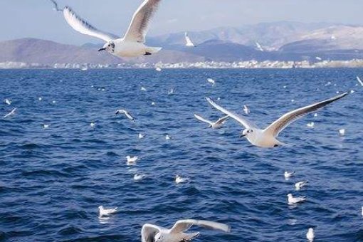 场景歌有哪些啊？