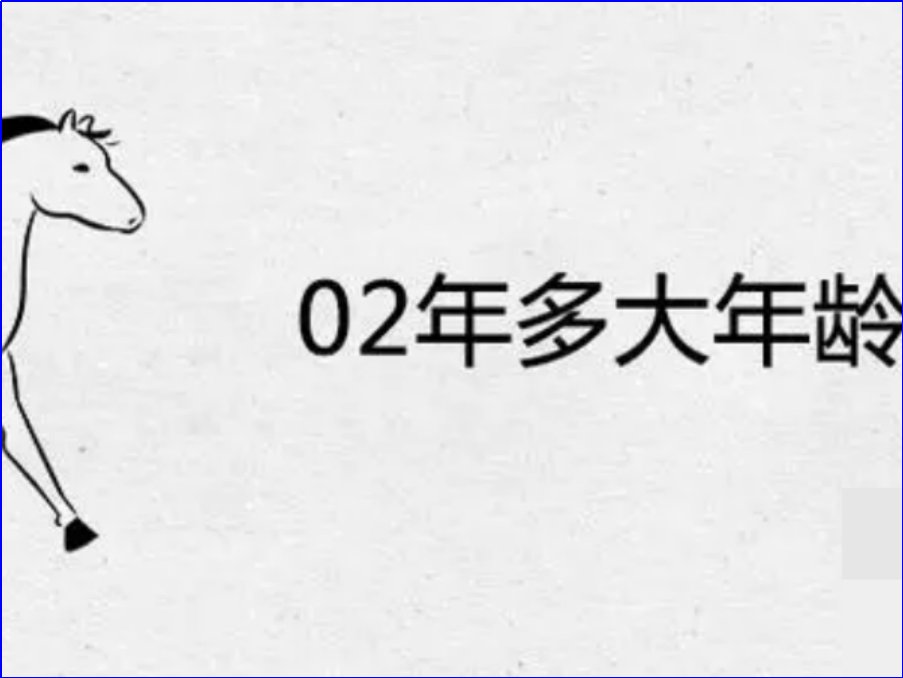 02年的今年多大2024