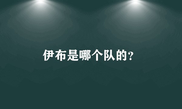 伊布是哪个队的？