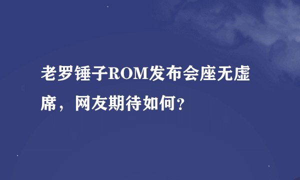 老罗锤子ROM发布会座无虚席，网友期待如何？