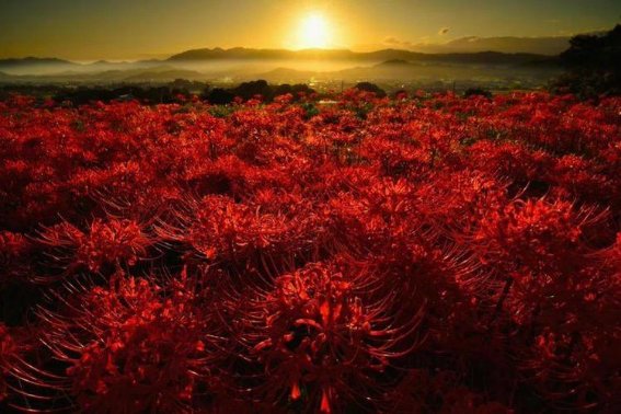 彼组词组什么词语