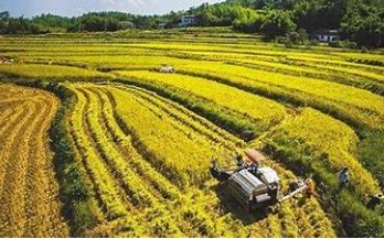 2007年发生了哪些大事