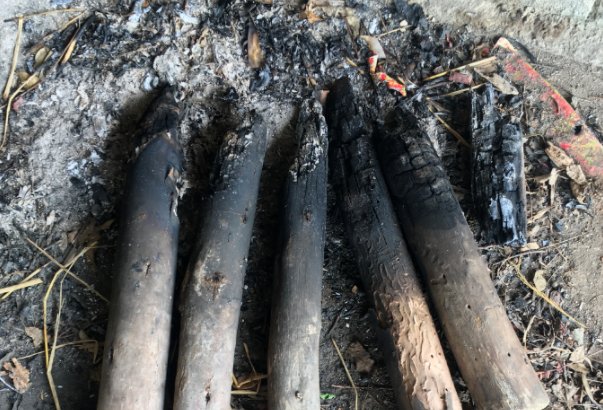 烧火棍是什么意思