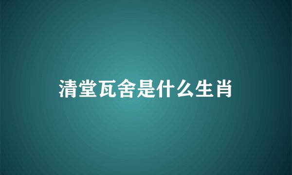清堂瓦舍是什么生肖
