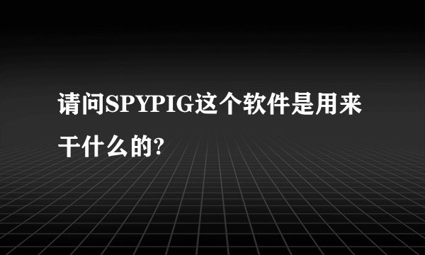 请问SPYPIG这个软件是用来干什么的?