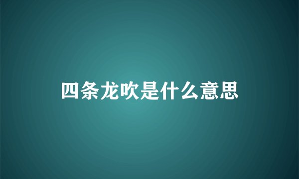 四条龙吹是什么意思