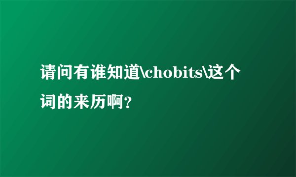 请问有谁知道\chobits\这个词的来历啊？