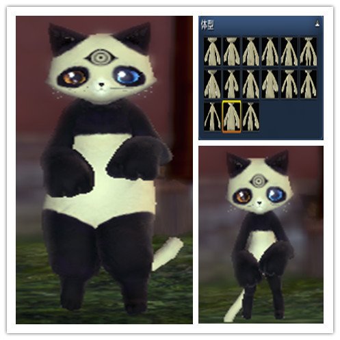 剑灵如何修改小猫形象